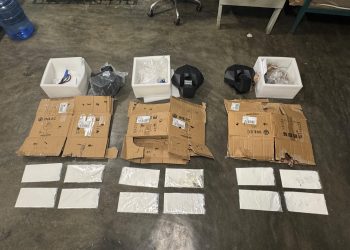 DNCD ocupa en el AILA 12 láminas de presunta cocaína ocultas en cajas de cartón