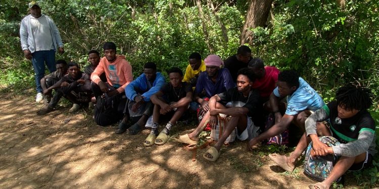 Ejército detiene a 69 haitianos indocumentados en diferentes zonas agrícolas de Montecristi