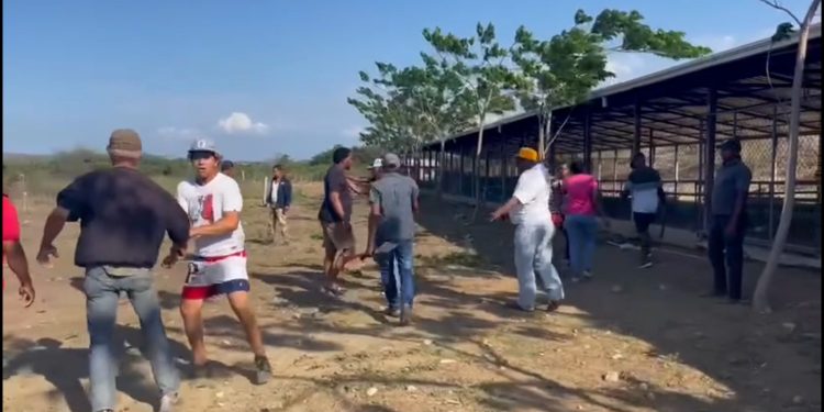 Campesina denuncia presunta complicidad de funcionarios en invasión de tierras en Montecristi
