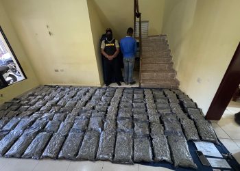 Autoridades interceptan en Azua a conductor de camión con 151 paquetes de presunta marihuana sintética
