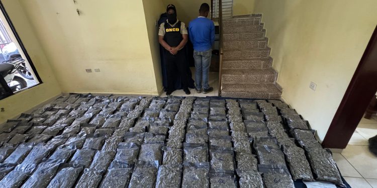 Autoridades interceptan en Azua a conductor de camión con 151 paquetes de presunta marihuana sintética
