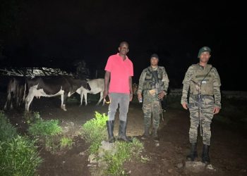 Ejército recupera 18 reses sustraídas en Loma de Cabrera, Dajabón