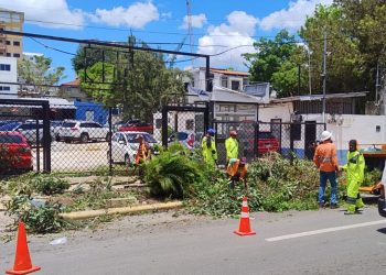 Edesur realiza operativo de poda y retiro de árboles en colaboración con el Ayuntamiento del DN 