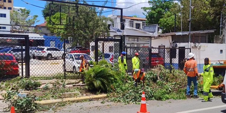 Edesur realiza operativo de poda y retiro de árboles en colaboración con el Ayuntamiento del DN 