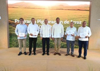 Banreservas destina RD$12,000 millones para financiar producción de arroz 2026-2027