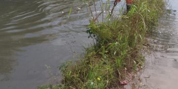 Acosde llama a pacto de Estado urgente por drenaje pluvial