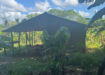 Policía Nacional rescata adolescente de 15 años raptada y apresa responsable tras enfrentamiento en Bonao