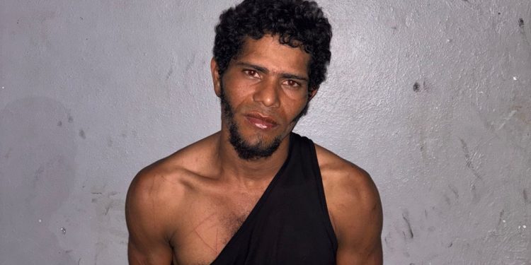 PN logra múltiples acciones en Valverde y La Vega: detiene agresor captado en video, recupera vehículo en menos de 24 horas y apresa mujer por estafa electrónica