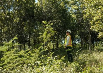 CAMIPE: “La modernización de la Ley Minera es la mayor garantía de protección ambiental para el país”