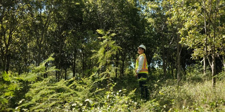 CAMIPE: “La modernización de la Ley Minera es la mayor garantía de protección ambiental para el país”