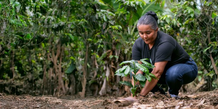 Ford abre convocatoria para Donativos Ambientales Ford 2026