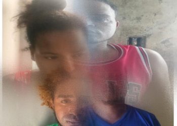 Policía Nacional ejecuta múltiples arrestos por violencia intrafamiliar en Baní