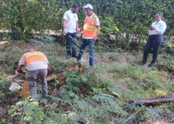 Agricultura inicia pago de más de RD$59 millones a técnicos y jornaleros de programas sanitarios