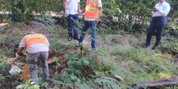 Agricultura inicia pago de más de RD$59 millones a técnicos y jornaleros de programas sanitarios