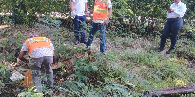 Agricultura inicia pago de más de RD$59 millones a técnicos y jornaleros de programas sanitarios