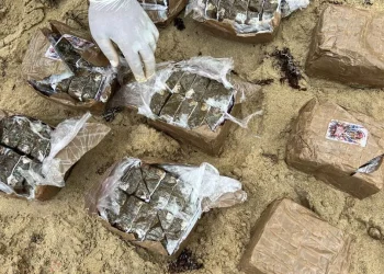 Interceptan 19 pacas de hachís en las costas de Miches