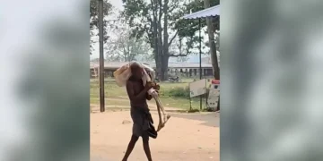 Hombre lleva restos de su hermana al banco en India tras negativa a entregar dinero