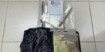 Frustran envío a EE.UU. y Rotterdam de láminas de cocaína ocultas en carpetas 