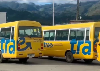 Roban baterías a minibuses escolares y dejan a decenas de niños sin transporte en Constanza