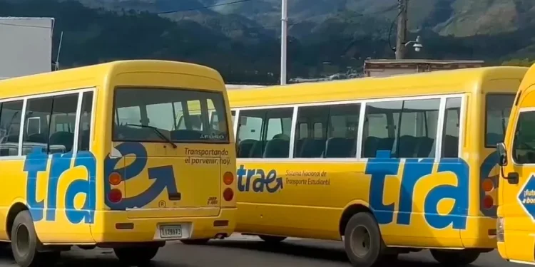 Roban baterías a minibuses escolares y dejan a decenas de niños sin transporte en Constanza