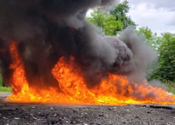 Inacif dice destruyó más de 13 toneladas de drogas en primer cuatrimestre del año