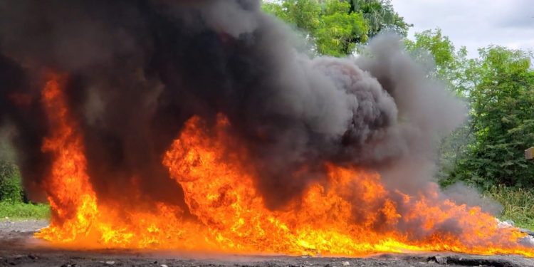 Inacif dice destruyó más de 13 toneladas de drogas en primer cuatrimestre del año