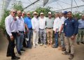 Exportaciones de tomate cherry hacia Estados Unidos consolidan crecimiento del sector; ministro de Agricultura destaca impacto económico y generación de empleos