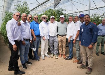 Exportaciones de tomate cherry hacia Estados Unidos consolidan crecimiento del sector; ministro de Agricultura destaca impacto económico y generación de empleos