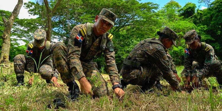 Fuerzas Armadas liderarán siembra de más de 100 mil árboles en jornada nacional por el Día Nacional del Árbol