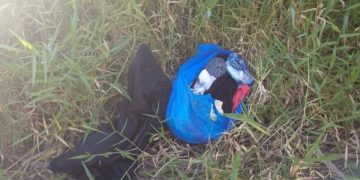 Hallan recién nacida abandonada dentro de una funda plástica en carretera Jarabacoa–Constanza