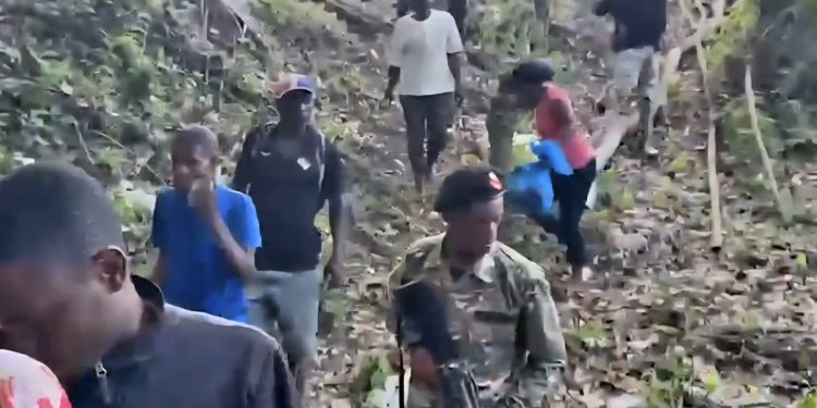 Ejército detiene a un grupo de 15 indocumentados localizados con unidades de drones en una zona rural de Dajabón