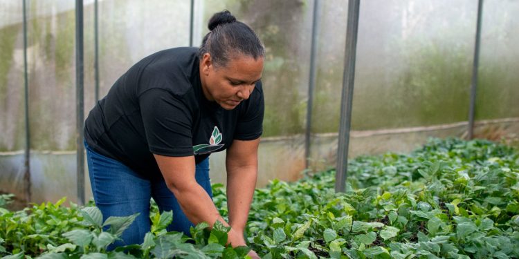Últimas dos semanas para postular proyectos a Donativos Ambientales Ford 2026 Santo Domingo, República