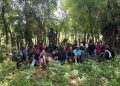 Detienen 26 haitianos indocumentados en bosque de Guayubín