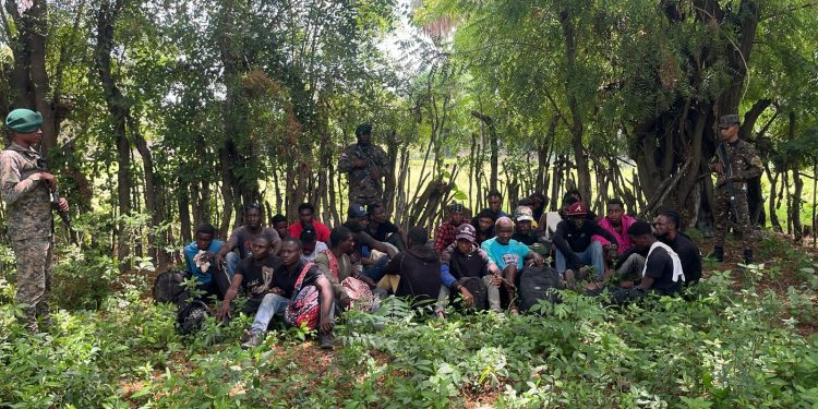 Detienen 26 haitianos indocumentados en bosque de Guayubín