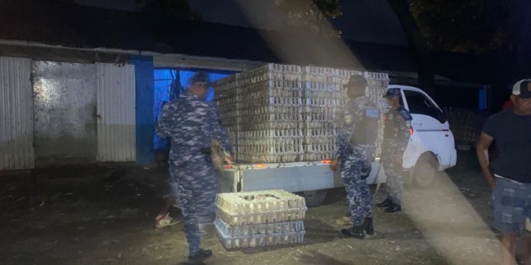 Policía Nacional recupera más de 600 pollos sustraídos de una granja y apresan a cinco personas en La Vega
