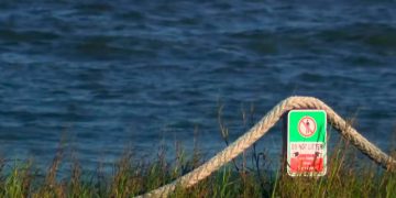 Joven de 17 años es atacado por tiburón en Texas