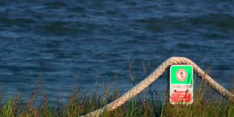 Joven de 17 años es atacado por tiburón en Texas
