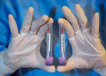 Francia confirma su primer caso positivo de hantavirus