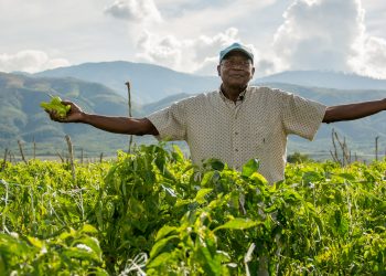 15 de mayo Día del Agricultor