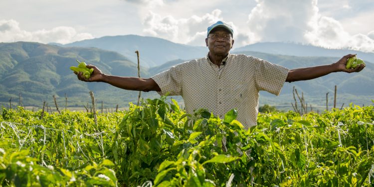 15 de mayo Día del Agricultor