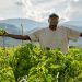 15 de mayo Día del Agricultor