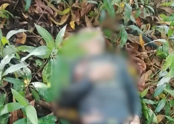 Hallan muerto a exregidor Elido Zapata tras ser reportado desaparecido en Dajabón