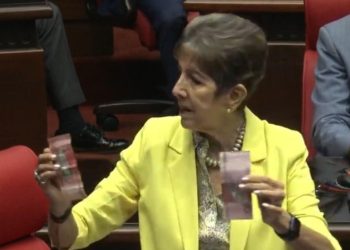Senadora Ginnette Bournigal propone cambiar color de billetes de RD$200 y RD$1,000
