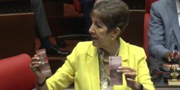 Senadora Ginnette Bournigal propone cambiar color de billetes de RD$200 y RD$1,000