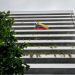 Embajada y consulados de Venezuela en España se activan para localizar a familiares tras sismos