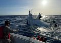 Armada Dominicana rescata a dos personas tras naufragio de la embarcación proveniente de Islas Turcas y Caicos