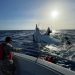 Armada Dominicana rescata a dos personas tras naufragio de la embarcación proveniente de Islas Turcas y Caicos