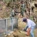 Medio Ambiente desmantela represa ilegal construida en el río Bellaco, en Jacagua