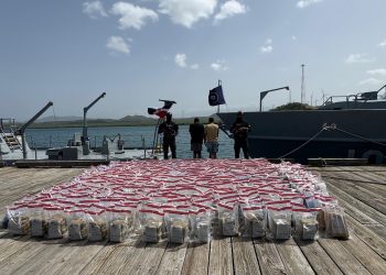 DNCD intercepta lancha con 1.743 bolsas de droga y detiene a dos personas