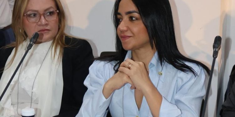 Ministra Faride Raful llama a reforzar la corresponsabilidad internacional y la cooperación en seguridad para afrontar los desafíos migratorios